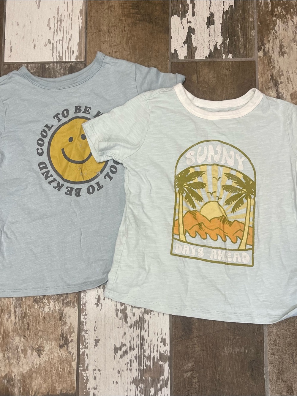 Little Co. summer short sleeve shirt set size 5T